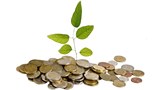 money-tree_1170x659