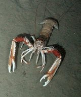 160205100511_1_540x360